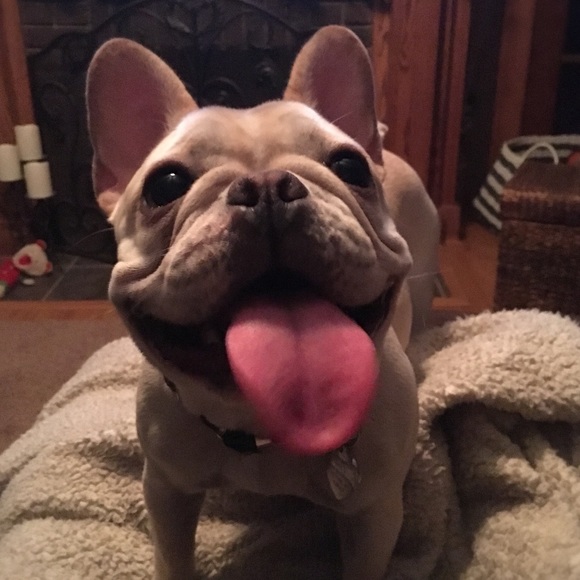 Meet your Posher, Lisa - Picture 4 of 7